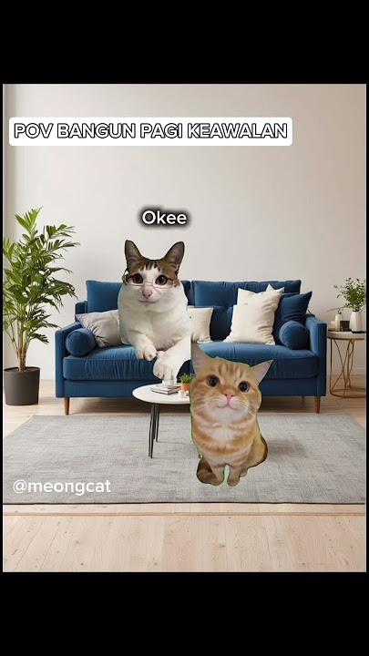 malah dibangunin jam 4 🤣 #memecringe #memes #meme #catlovers #catmemes #kucing #kucinglucu