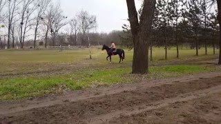 20160223 113204