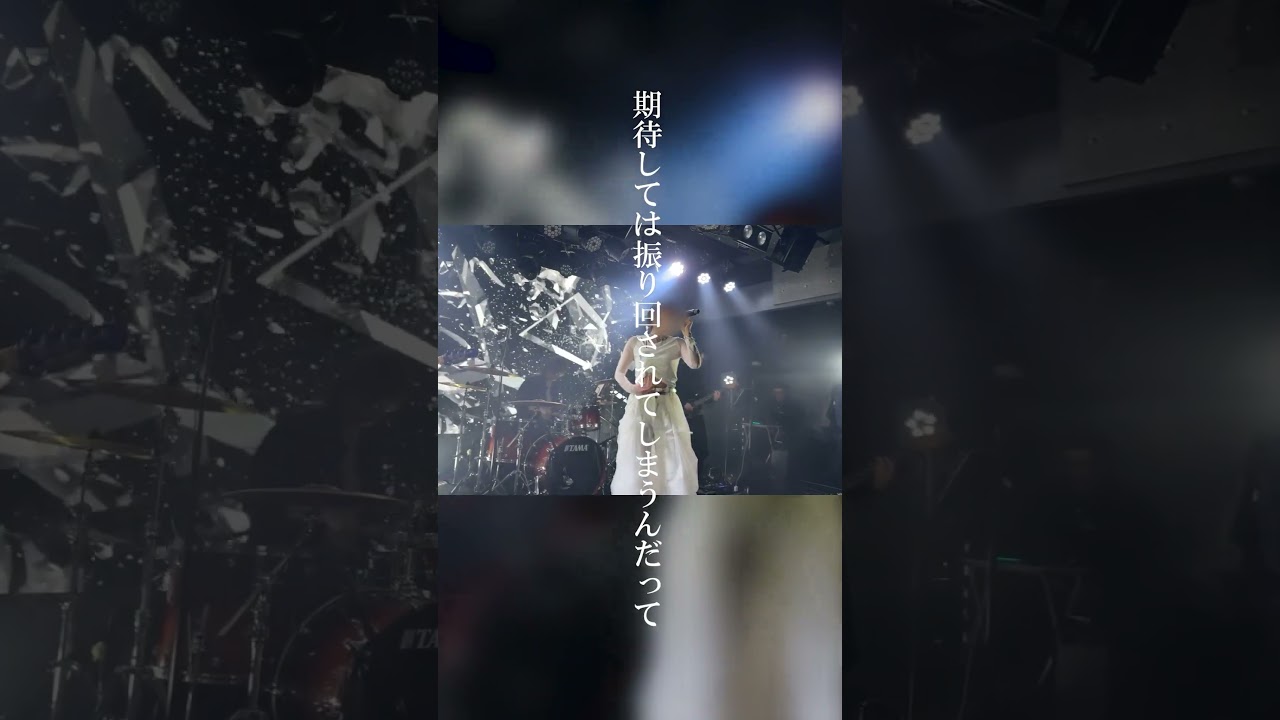『GOKUSAI』-NAUTICA ver.-