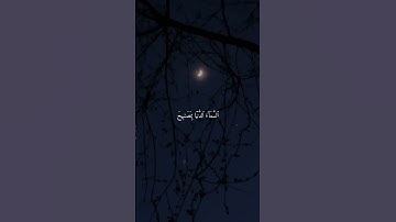 #قرآن #تلاوة_خاشعة #راحة_نفسية #قرانكريم #صوت_جميل #ارحقلبك #قران_كريم #تلاوه #لايك