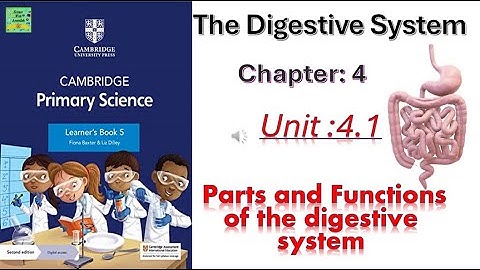 Cambridge basisschool wetenschap klas 5 | Spijsverteringsstelsel | Hoofdstuk: 4 | Eenheid: 4.1 Fu...