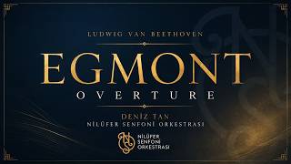 Beethoven: Egmont Overture, Op. 84 | Deniz Tan | Nilüfer Senfoni Orkestrası