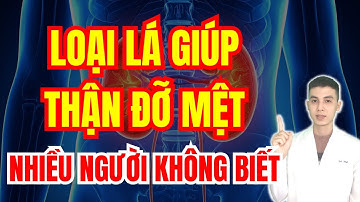 Loại Lá Giúp Thận Đỡ Mệt, Máu Lưu Thông Tốt? – Nhiều Người Không Biết | Dược sĩ Đạt