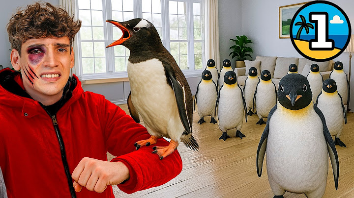 🐣 Siendo Papá de 17 Pingüinos Locos por 24H 🐣Dia 1 de 7 Viviendo en la Playa @acuarioinbursa2051