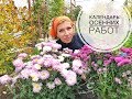 Дачные сезоны с Мариной Рыкалиной. Осенние работы в саду.