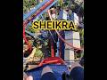 SHEIKRA AQUI TEM QUE TER CORAGEM #tampabay #bushgardens #amusementpark #parquetematico
