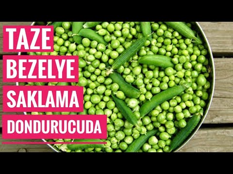 Video: Bezelye Doğru şekilde Nasıl Saklanır