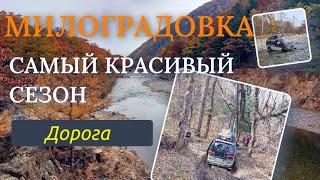 Приморье. Милоградовка. Самый красивый сезон. Дорога