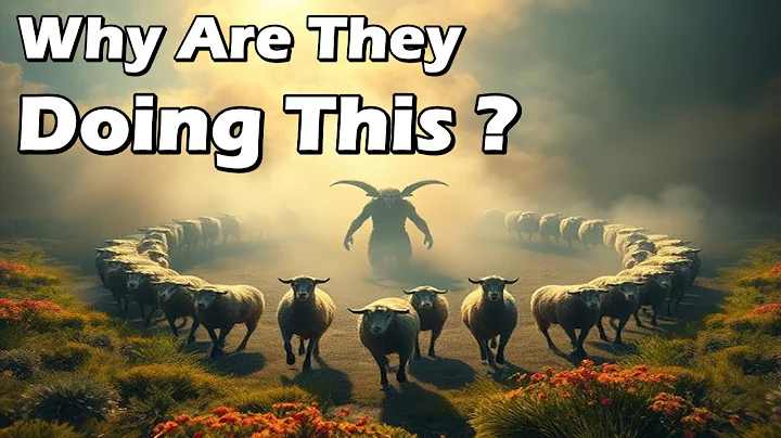 Strange Animal Behavior No One Can Explain thumbnail