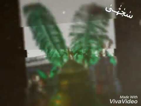 صباح الفريداوي عباس رايح ماتجي