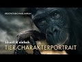 Schnell & einfach: Tier-Charakterportrait