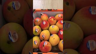 Rajan Mangoes  mexican mango canada vancouver