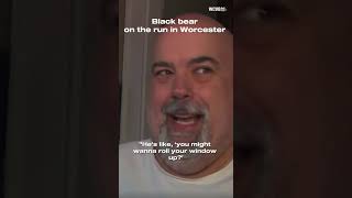 Black Bear spotted in Worcester