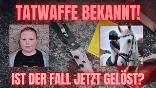 Mordfall Fabian 8 Tatwaffe Gefunden Ermittler Sprechen Von Durchbruch