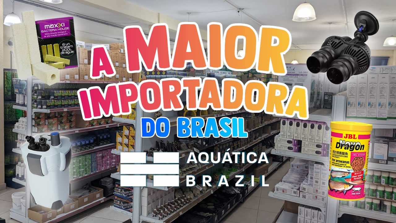 VISITEI A MAIOR IMPORTADORA DE PRODUTOS DE AQUARISMO DO BRASIL!!! (@AquaticaBrazilImportadora)