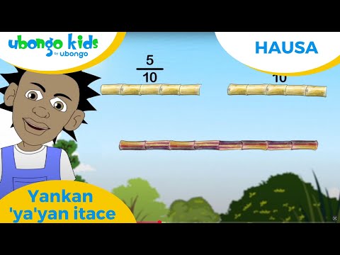 Hausa | Yankan 'ya'yan itace | Ubongo Kids