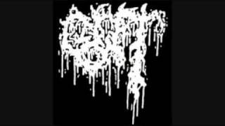 Gut-The Taboo Room