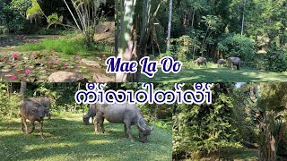 Download lagu Mae La Oo Kaw La Wah Ta Law