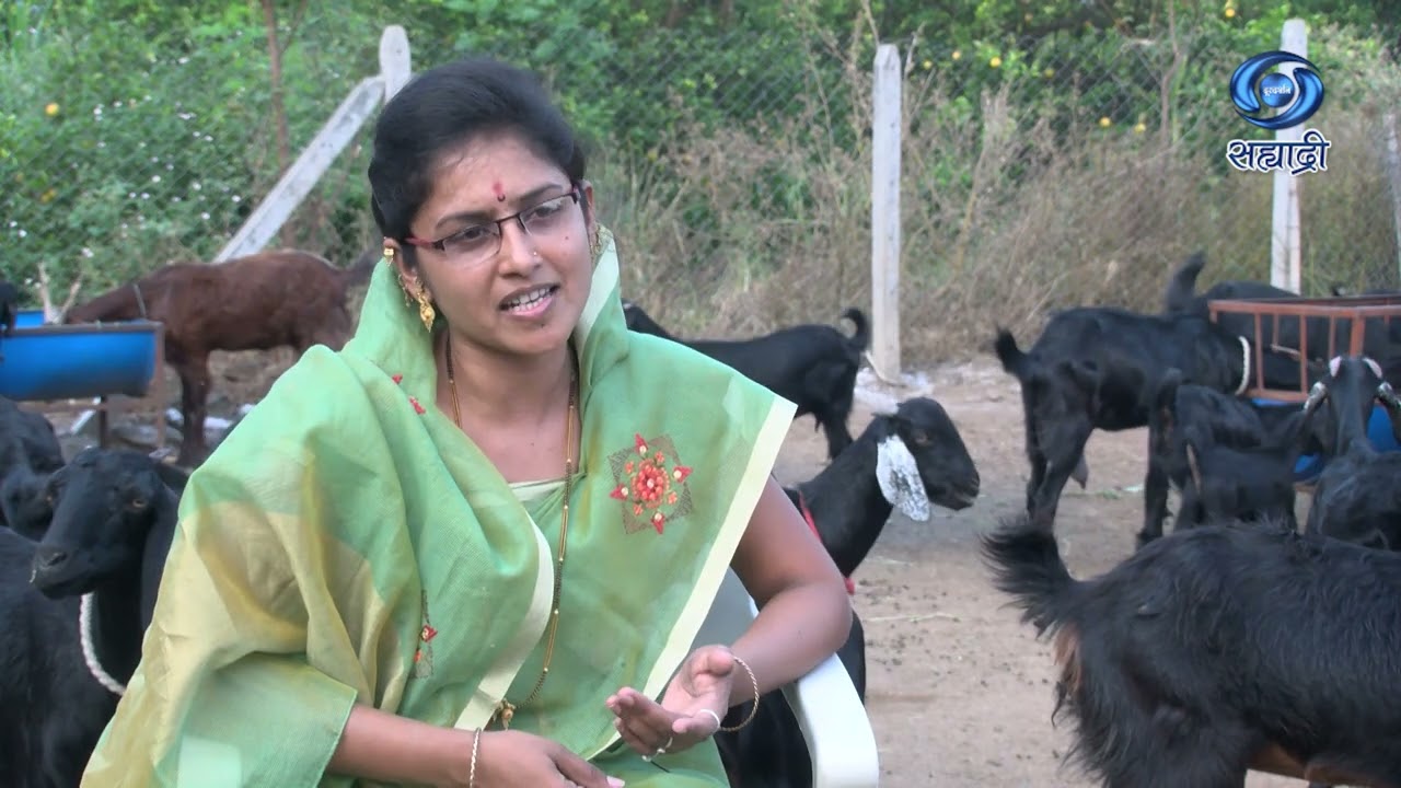 शेळीपालन - यशोगाथा | स्नेहा अमोल कोल्हे | HD | Krushidarshan | कृषीदर्शन | 14.04.2025