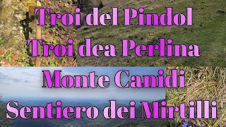 Troi del Pindol e dea Perlina Monte Canidi Sentiero dei Mirtilli