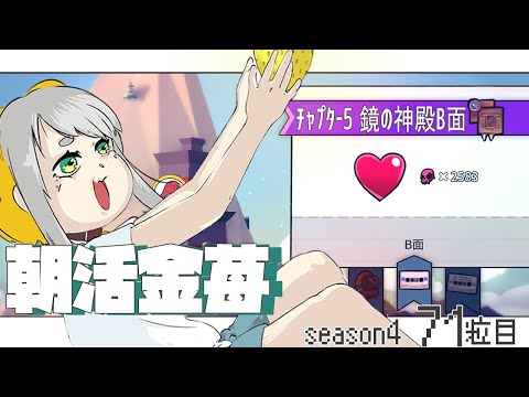 【Celeste 5-B】朝活金苺チャレンジ season3 71粒目【Vtuber/虎爺(こや)】