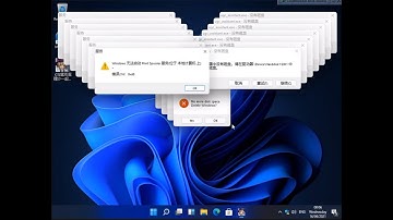 Windows 11 Beta Crazy Error (with app)