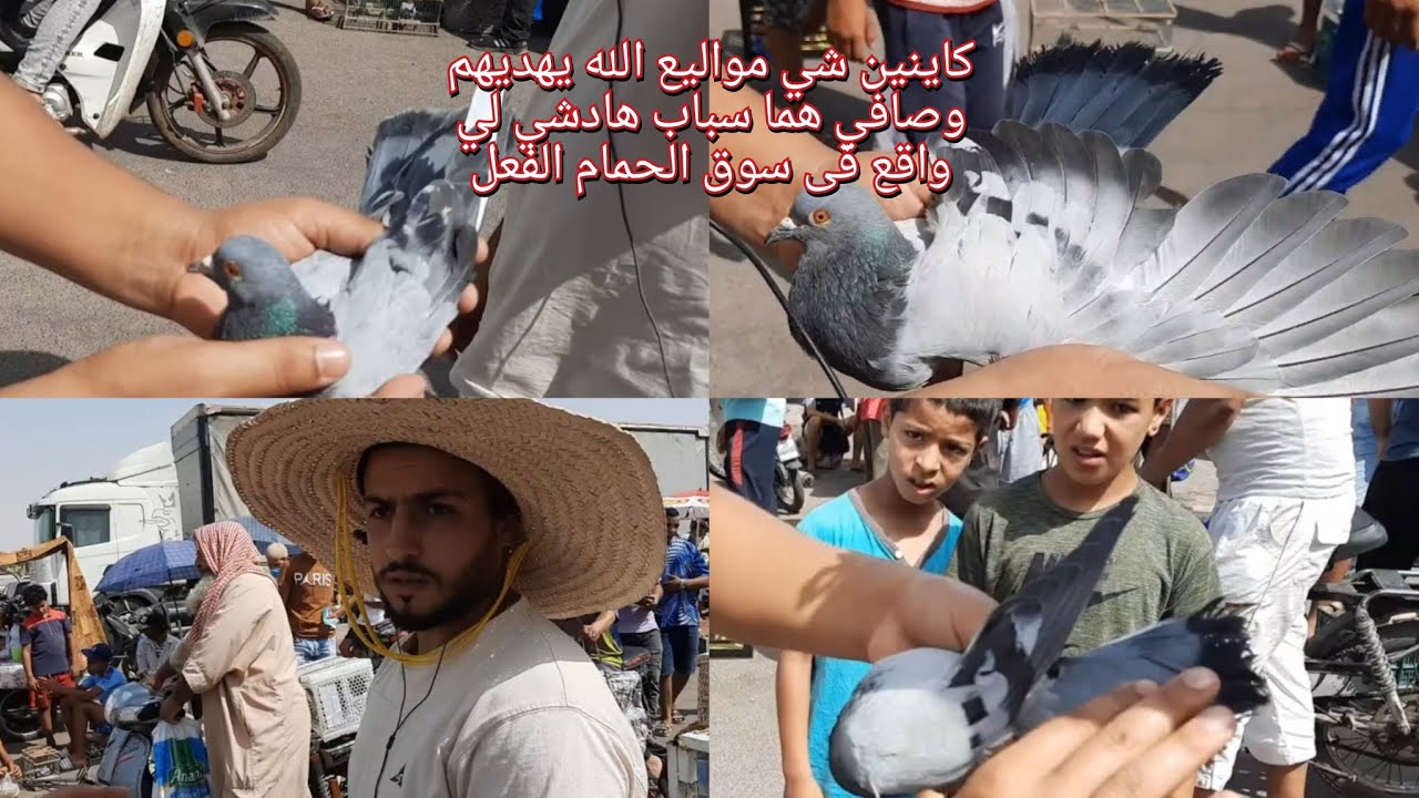 سوق الحمام الفعل ولا كيخلع وشي ناس الله يهديهم