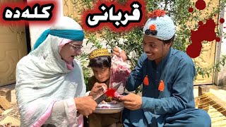 Qurbani Eid Kala De Pashto New Funny  2023 By Tuti Gull 