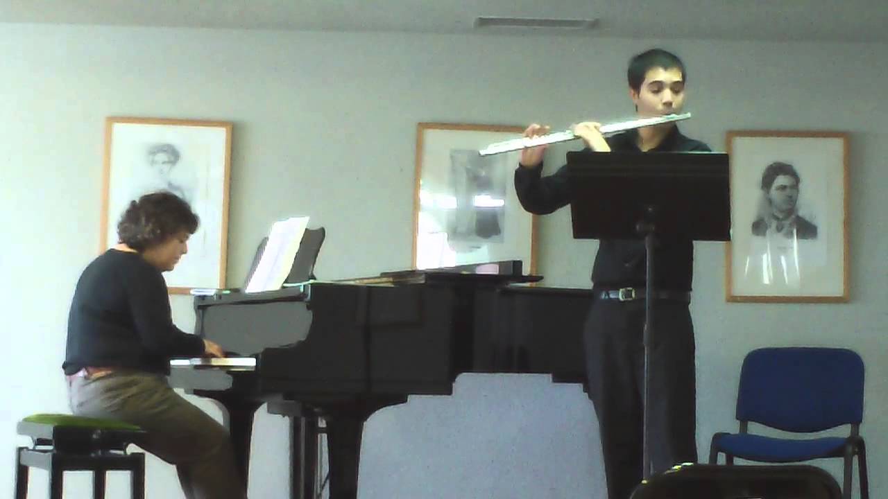 "Mercadante Flute Concerto no 2 in E minor, Op. 57 I. Allegro Maestoso