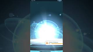 Pidgey - Pidgeotto - Pidgeot Evolution Pokémon Go