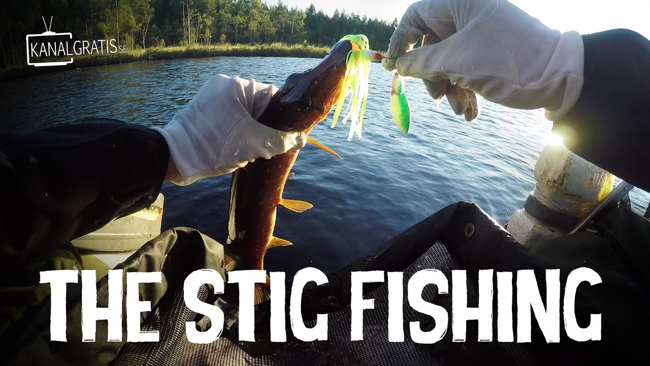 Pike and Perch Float Tube Fishing in Tiny Forest Lake | The Stig Fishing