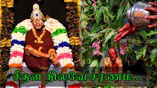 சீதள நிலவே சரணம்... | மதுஸ்ரீ | ஈழத்து சீரடி சாய் மந்திர் - நல்லூர் யாழ்ப்பாணம் |