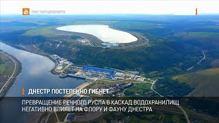 Днестр постепенно гибнет