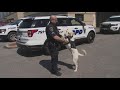 University circle k9 already doing great things for the police department