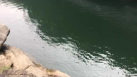 Pami khủng ăn lure