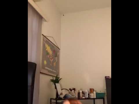 Χορεύω το baby shark