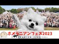 ポメラニアンフェス2023に潜入した結果