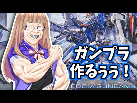 【手元実写配信】HG1/144ライジングフリーダムガンダム作るぞ！！！続き！！【#Vtuber】