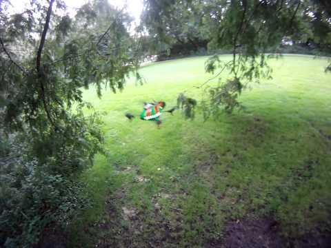 AR DRONE WITH STROBOSCOPE FEELERS