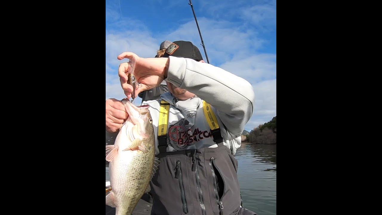 Early Spring Tackle Review! The Best New Baits And Gear For 2024