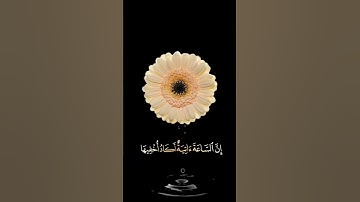 صباح الخير🌼حالات واتس اب مقاطع قصيره قران كريم🌼سورةطه إنني انا الله لاإله إلا انا🌼احمد خضربدون حقوق
