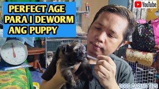 HOW TO DEWORM YOUR PUPPIES AT HOME(1ST DEWORMING NILA)
