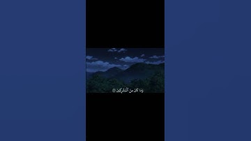 قُلْ إِنَّنِي هَدَانِي رَبِّي إِلَى صِرَاطٍ مُسْتَقِيم||تلاوة خاشعة بصوت الشيخ ياسر الدوسري 💗🌿