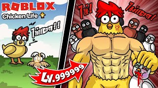 Roblox : Chicken Life 🐥 จำลองการเป็นไก่ ปกป้องไข่ เกมมิ่ง !!!