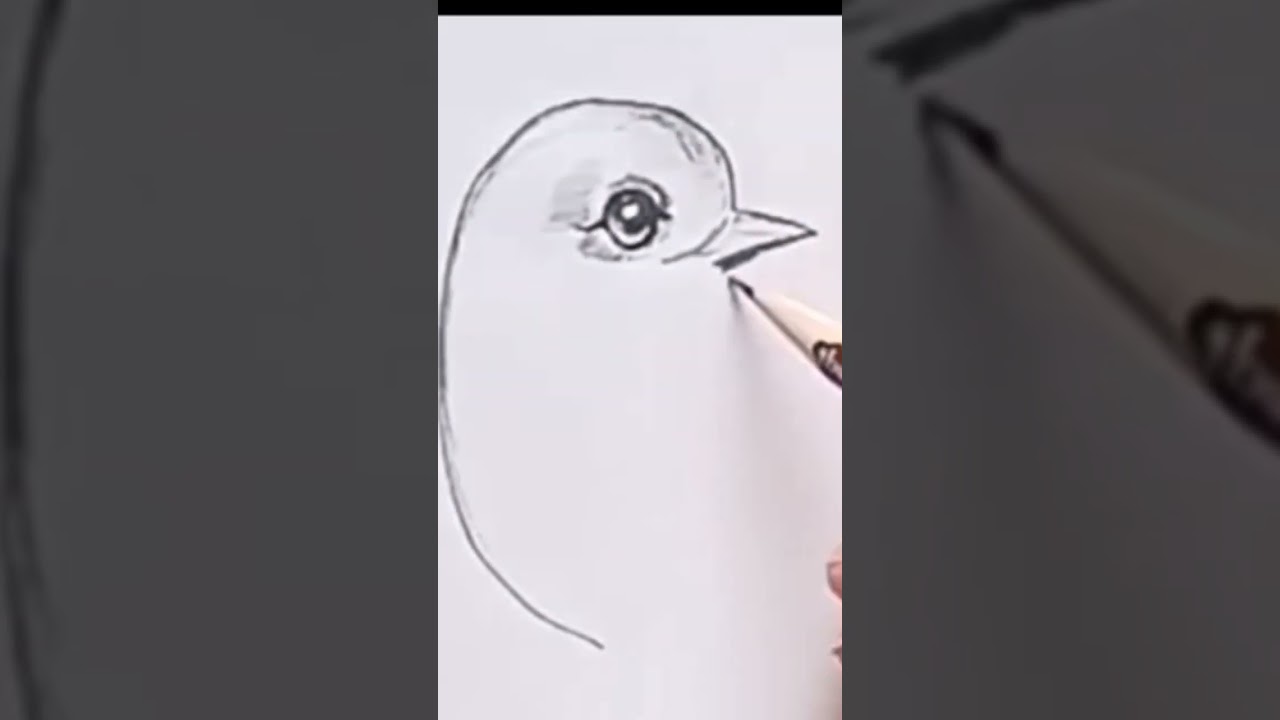 Easy Bird drawing 