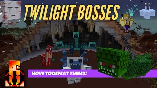 Sky Factory 4 Tutorial ~ Twilight Boss Fight Order & How to kill them ~ Works for most modpacks