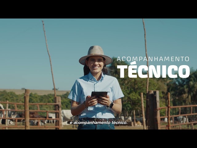 Recria Intensiva: Como Melhorar o Desempenho do Gado na Recria e Aumentar a Eficiência da Pecuária