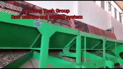 Raw cashew nut calibration machine