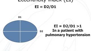 19B. Left ventricular eccentricity index in end-systole