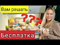 Переезжаем к Сельчанке в Америке/Бесплатные продукты в США/Что нам дали в Южной Каролине/Бесплатка